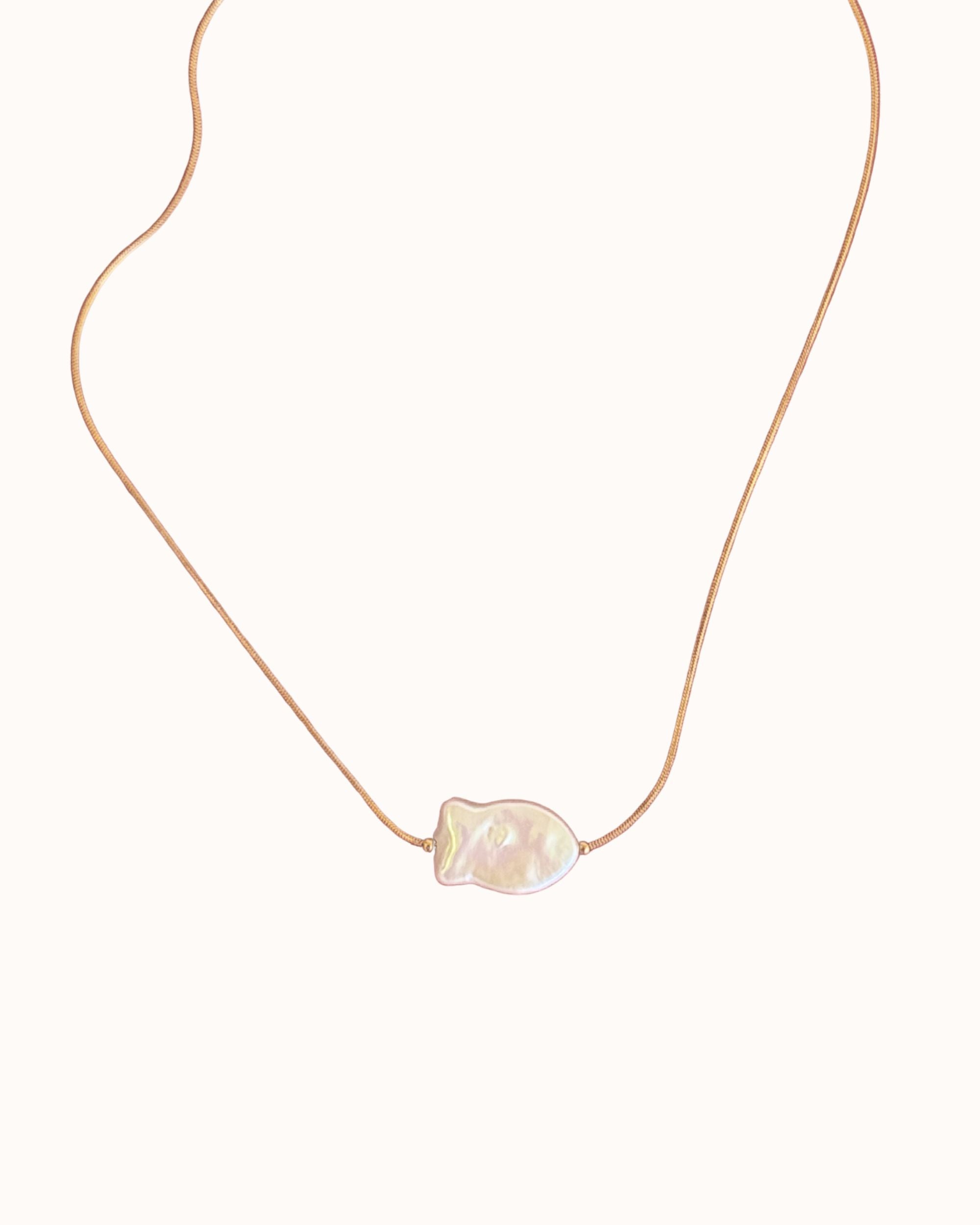 NOBGPHOTOS.jpg Fin Chain - Image 1